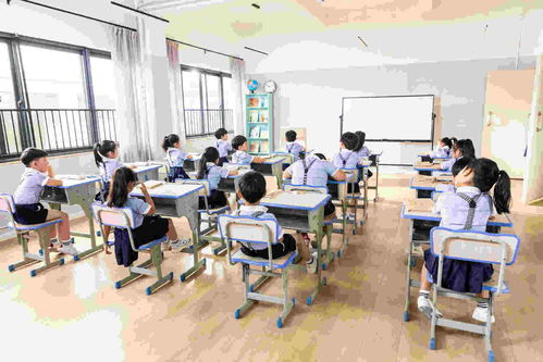 威海少兒培訓與教育信息咨詢服務(wù)全解析